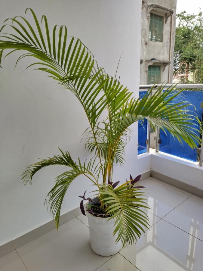 6 Park Retreat Hotel Mombasa Eksteriør billede